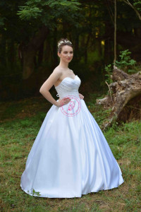 586257102_1153279360122174_355493502393987800_n