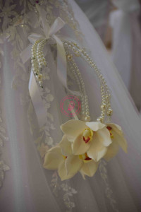 639545904_1220827266700716_2130369824533134741_n